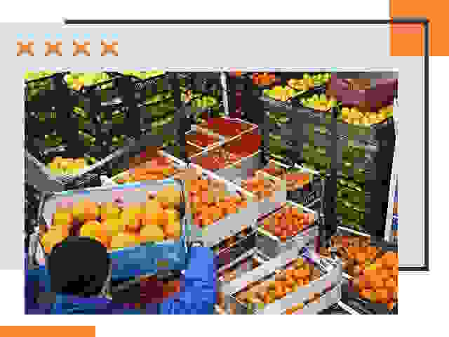 Перевозка скоропортящихся продуктов в Шуе